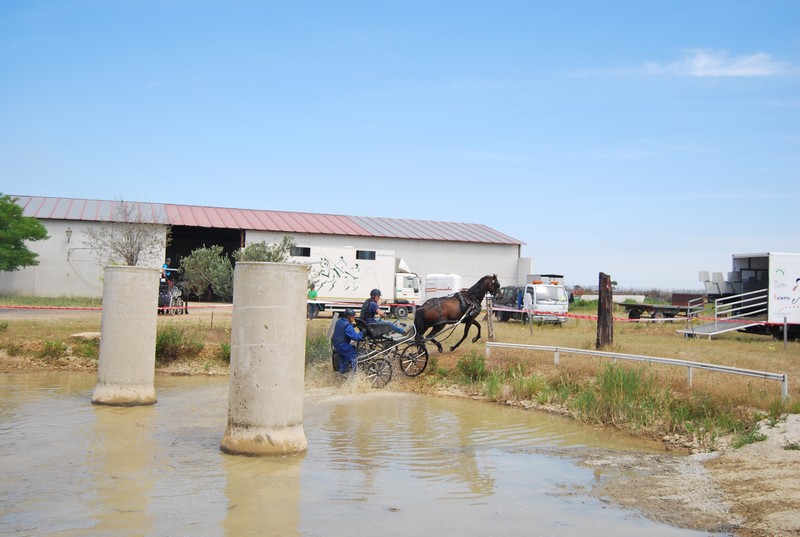 Mucho calor en La Pinturita en el Campeonato Navarro de Enganches Indoor